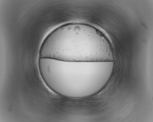 X0000113151343200909040924