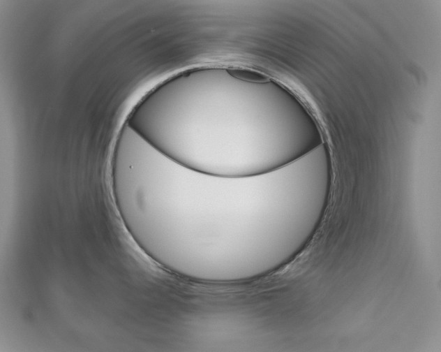 X0000113151344200909040924