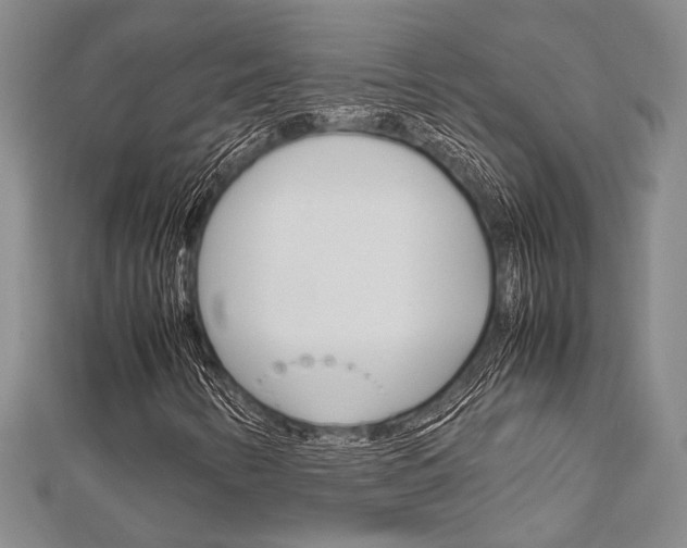 X0000113151346200909040923