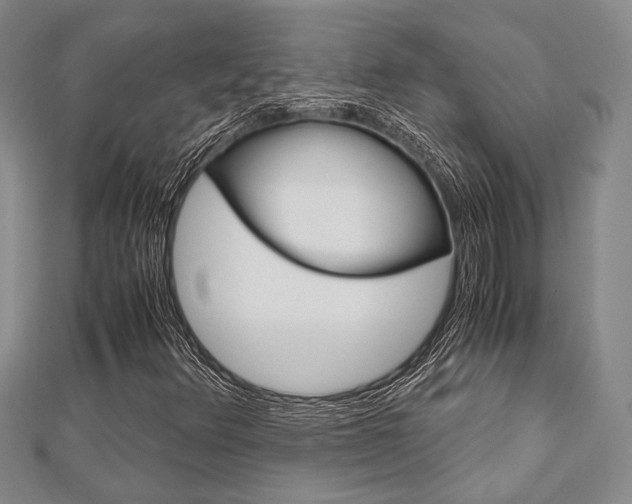 X0000113151348200909040923