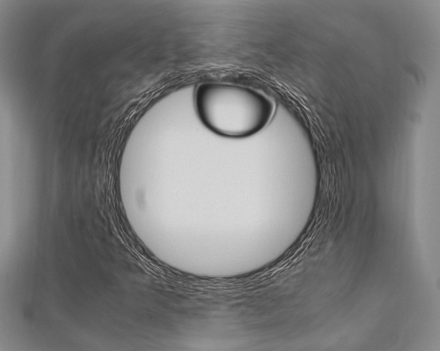 X0000113151349200909040923