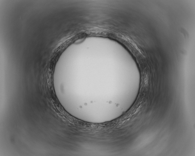 X0000113151350200909040923