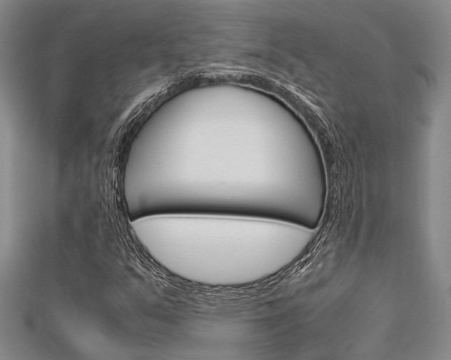 X0000113151351200909040923