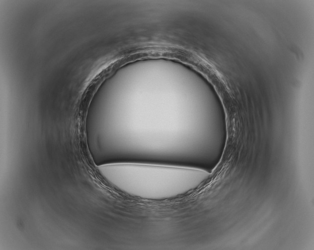 X0000113151352200909040923