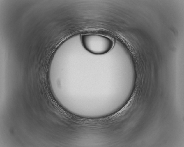 X0000113151353200909040923