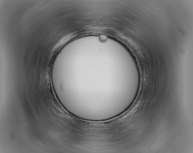 X0000113151354200909040923