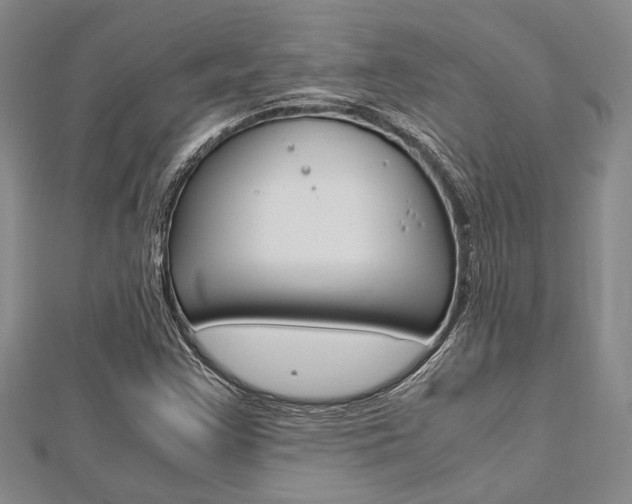 X0000113151355200909040923