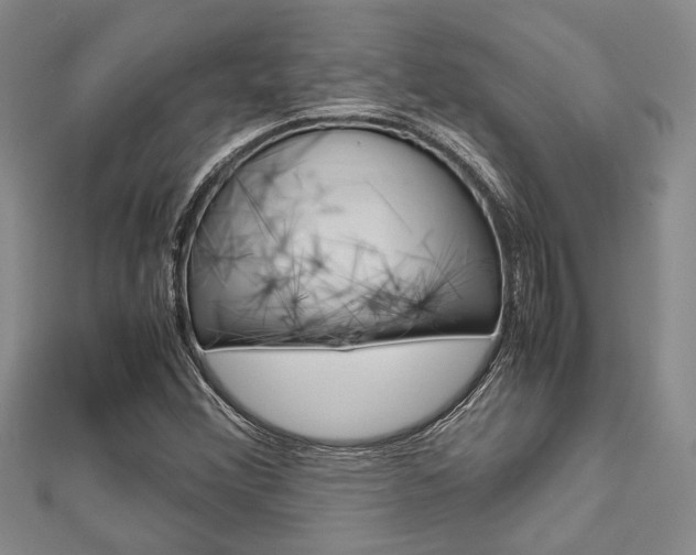 X0000113151356200909040923