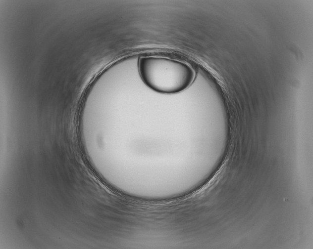 X0000113151357200909040923