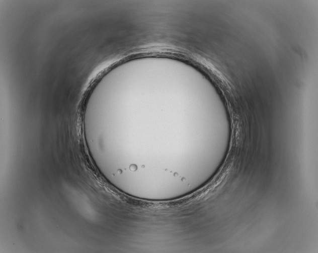 X0000113151358200909040923