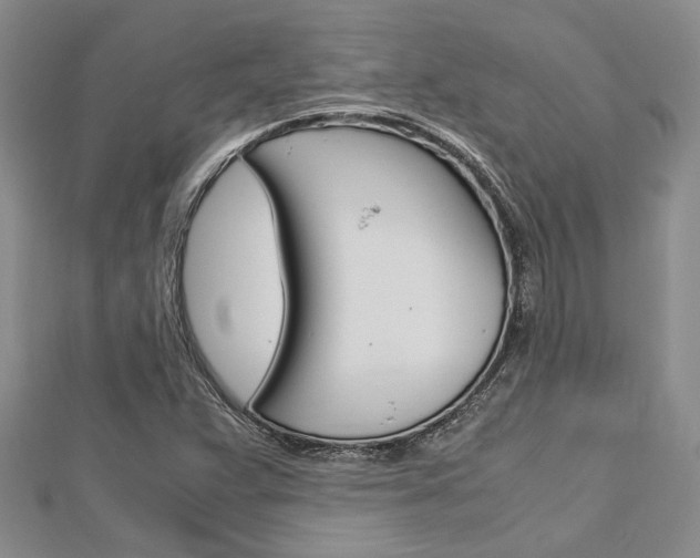 X0000113151359200909040923
