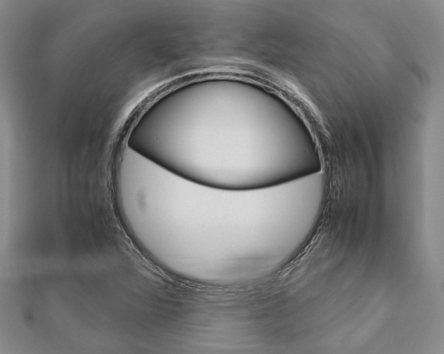 X0000113151360200909040923