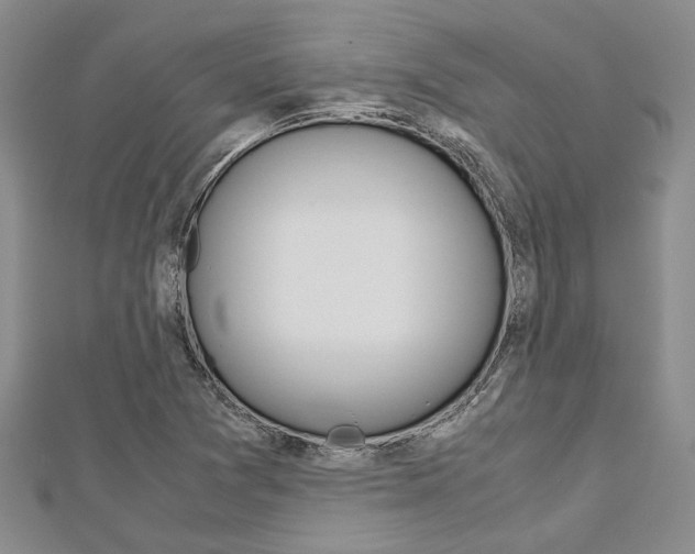 X0000113151361200909040923