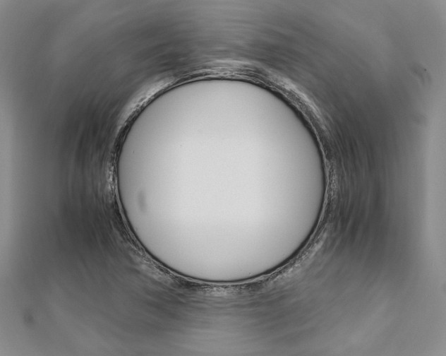 X0000113151362200909040923