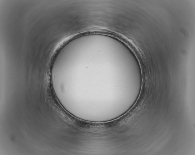 X0000113151363200909040923