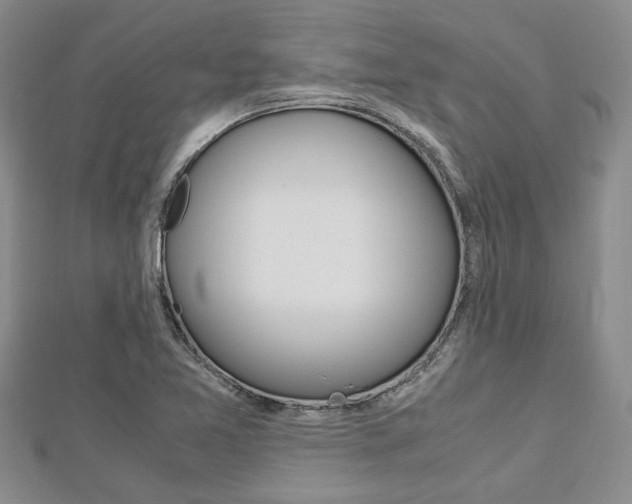 X0000113151365200909040923