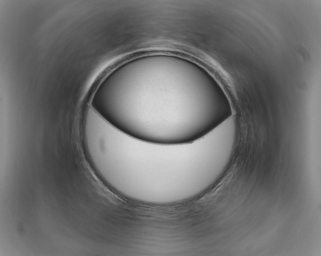 X0000113151368200909040923