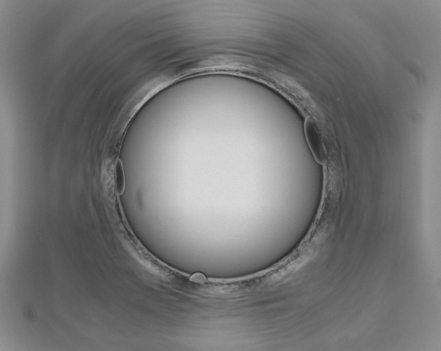 X0000113151369200909040923