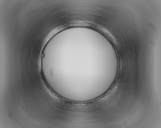 X0000113151370200909040923