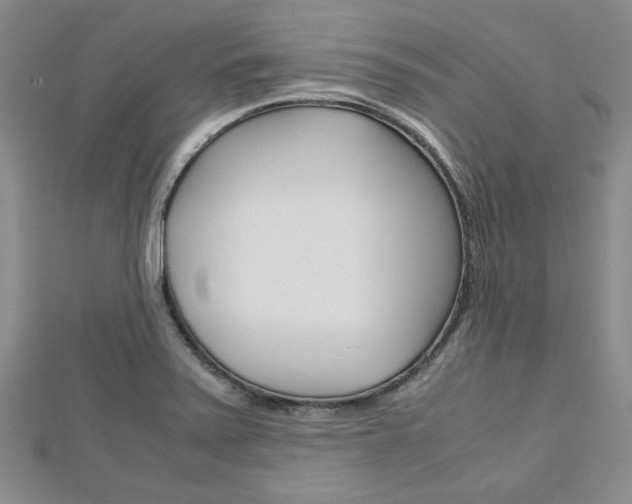 X0000113151371200909040923