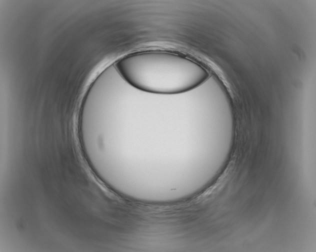 X0000113151373200909040923