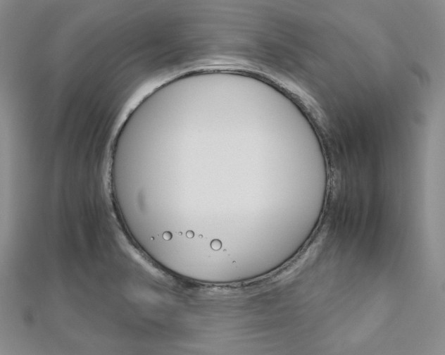 X0000113151374200909040923