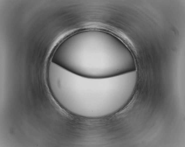 X0000113151376200909040923