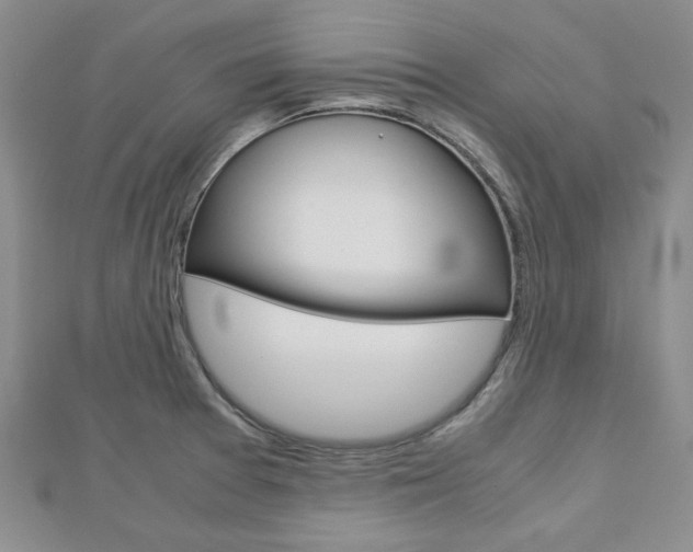 X0000113151377200909040923