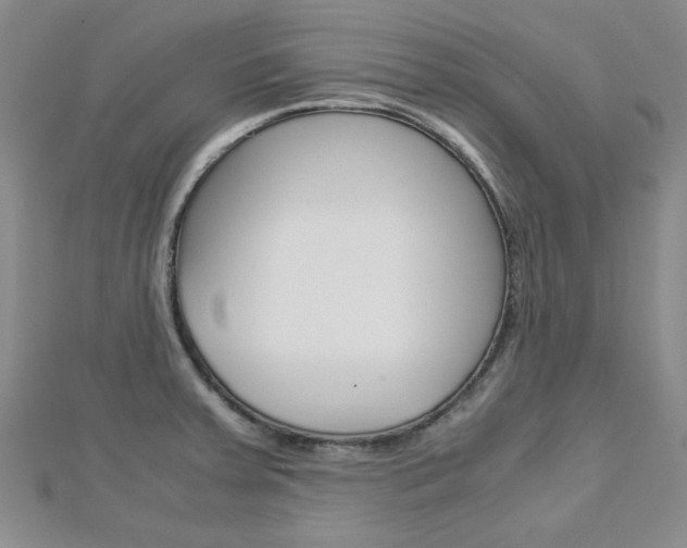 X0000113151379200909040923