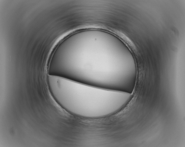 X0000113151380200909040923