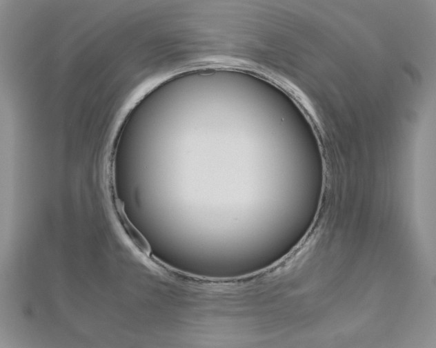 X0000113151381200909040923