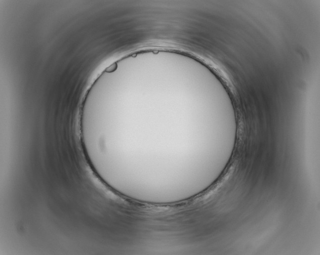 X0000113151382200909040923