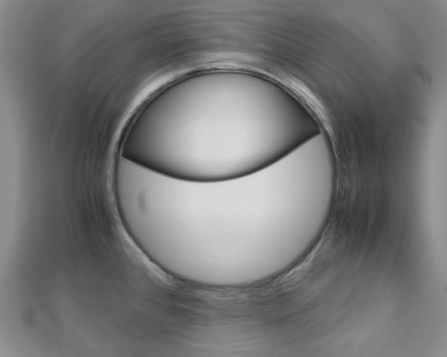 X0000113151384200909040923