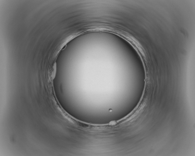 X0000113151385200909040923