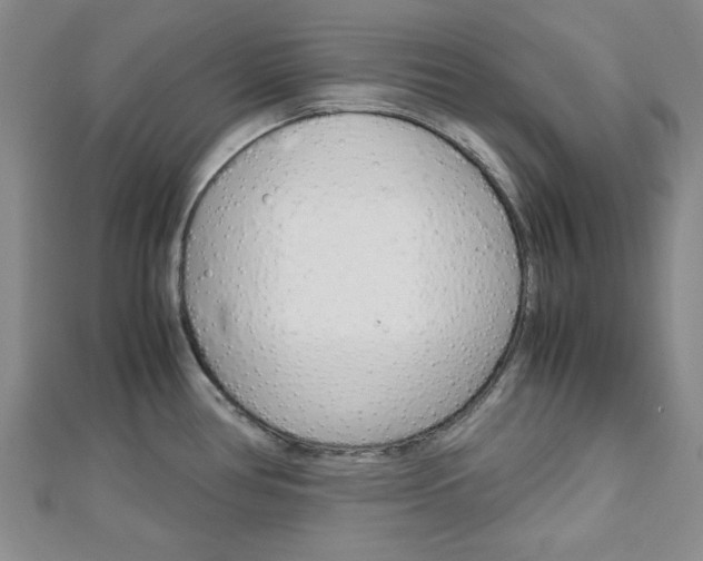X0000113151386200909040923