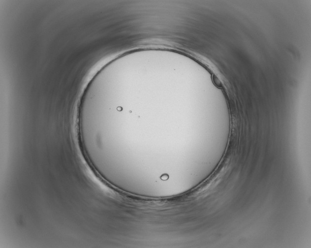X0000113151387200909040923