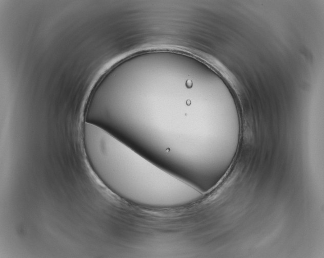 X0000113151388200909040923