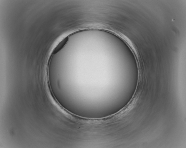 X0000113151389200909040923