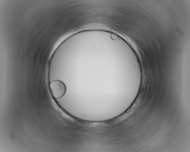 X0000113151390200909040923