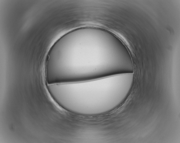 X0000113151391200909040923