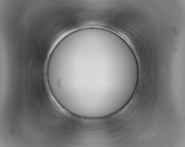 X0000113151392200909040923