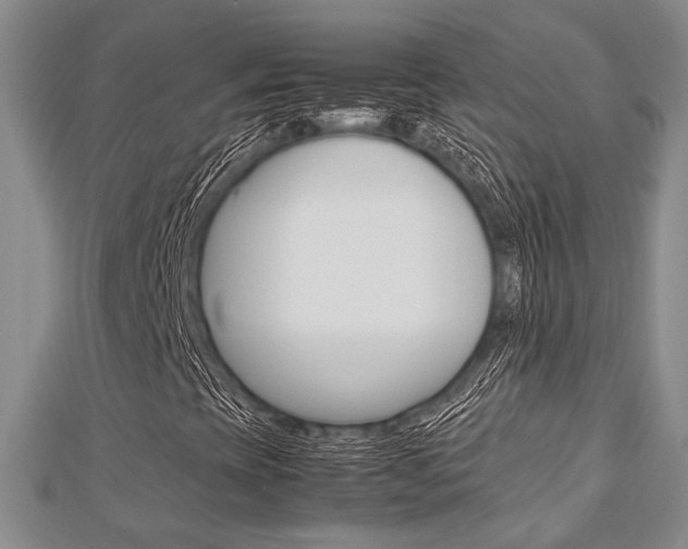 X0000113151393200909040922