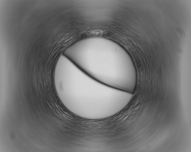 X0000113151394200909040922