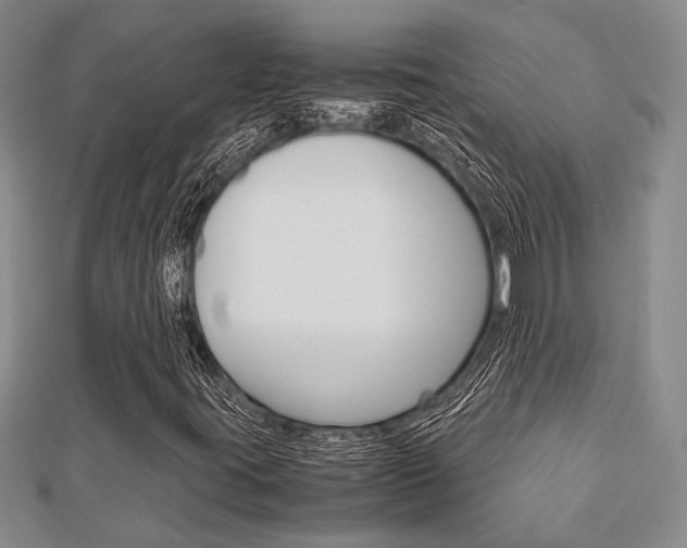 X0000113151395200909040922