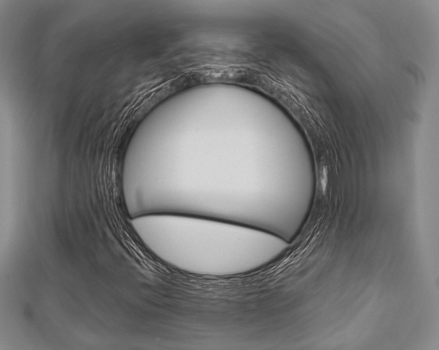X0000113151396200909040922