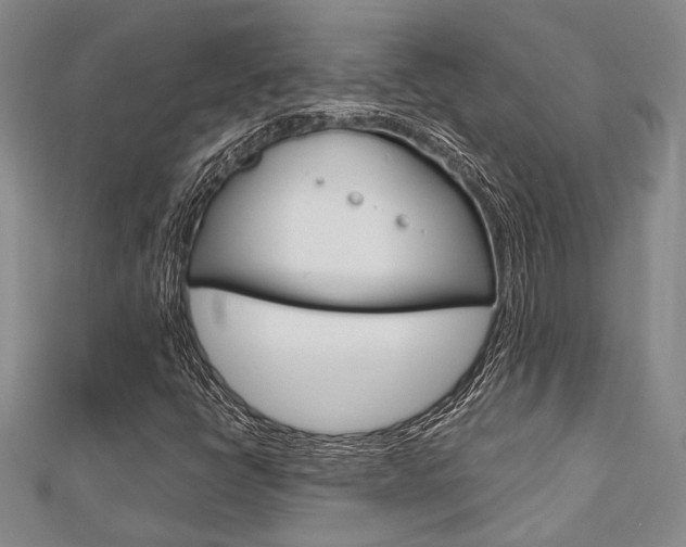 X0000113151398200909040922