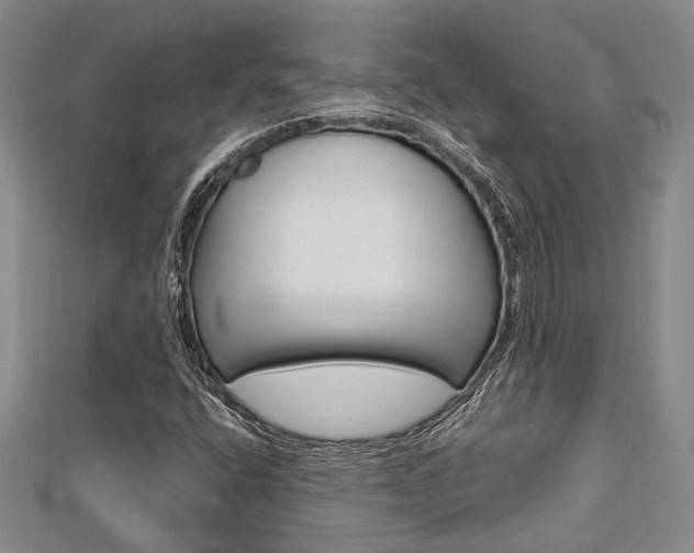 X0000113151400200909040922