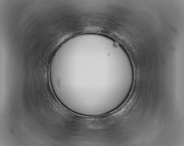 X0000113151401200909040922