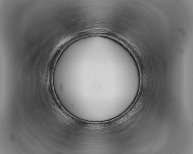 X0000113151402200909040922