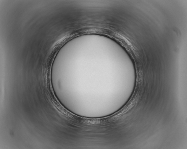 X0000113151403200909040922